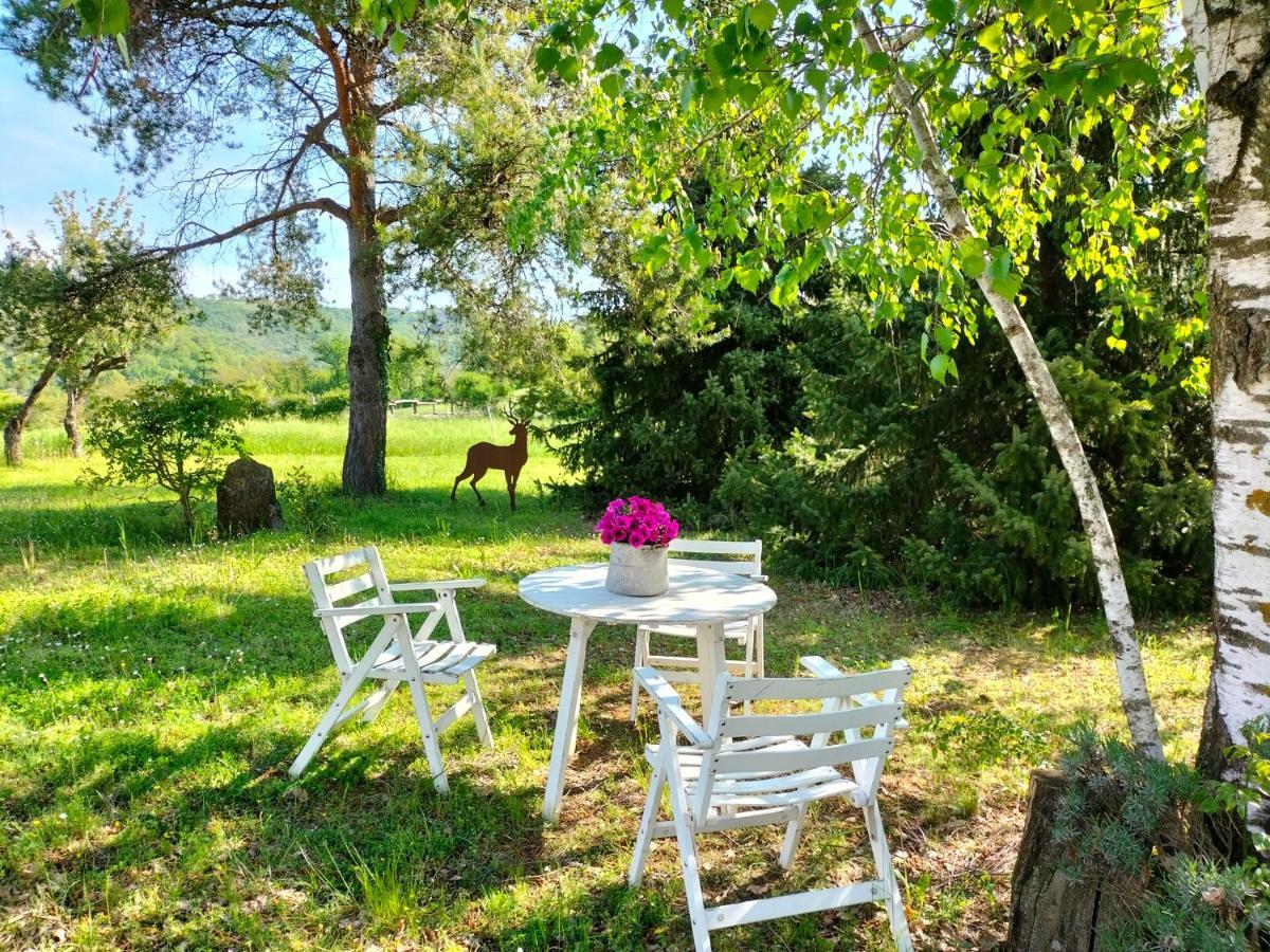 Ferienwohnung App.To Pian Del Ronco Pellegrino Parmense Exterior foto
